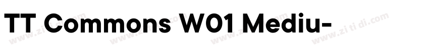 TT Commons W01 Mediu字体转换